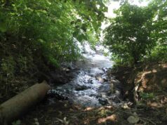 Нечистоти біля 2 шахти зливає… водоканал! Нечистоти біля 2 шахти зливає... водоканал!