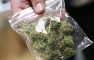 Хлопець продавав канабіс через інтернет Хлопець продавав канабіс через інтернет