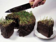 Індустріальний парк чи дерибан 20 га землі в Нововолинську? Індустріальний парк чи дерибан 20 га землі в Нововолинську?