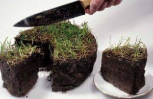 Індустріальний парк чи дерибан 20 га землі в Нововолинську? Індустріальний парк чи дерибан 20 га землі в Нововолинську?