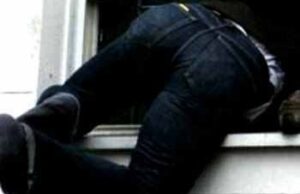 Викрадені з кафе товари міліціонери повернули власнику Викрадені з кафе товари міліціонери повернули власнику