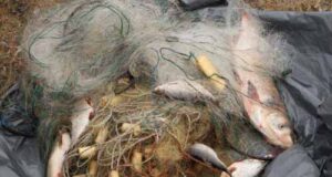 Нововолинська рибоохорона затримала браконьєрів Нововолинська рибоохорона затримала браконьєрів