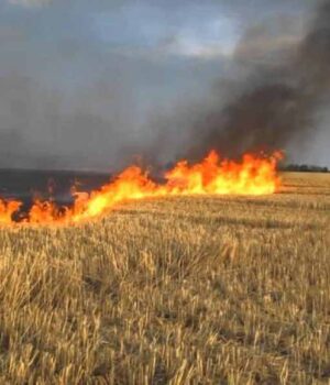 Нововолинські рятувальники закликають не спалювати рослинність та її залишків