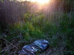 Неподалік Володимира грибники знайшли останки нововолинця, який перебував у розшуку Неподалік Володимира грибники знайшли останки нововолинця