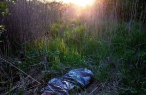 Неподалік Володимира грибники знайшли останки нововолинця, який перебував у розшуку Неподалік Володимира грибники знайшли останки нововолинця