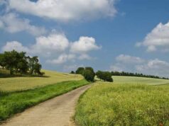 Шість ділянок, 77 гектарів, — у земельному фонді Нововолинської громади поповнення Шість ділянок