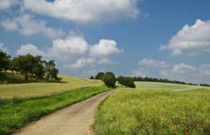 Шість ділянок, 77 гектарів, — у земельному фонді Нововолинської громади поповнення Шість ділянок