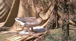 Центр допомоги нововолинським військовим діє! Центр допомоги нововолинським військовим діє!