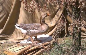 Центр допомоги нововолинським військовим діє! Центр допомоги нововолинським військовим діє!