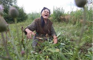 Комунальники Нововолинська порадили старенькій бабусі самій косити траву Комунальники Нововолинська порадили старенькій бабусі самій косити траву