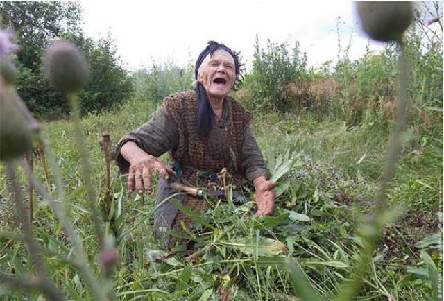 Комунальники Нововолинська порадили старенькій бабусі самій косити траву Комунальники Нововолинська порадили старенькій бабусі самій косити траву