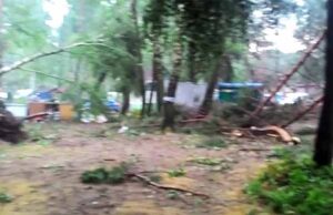 Буревій на Світязі. Наслідки. (Відео) Буревій на Світязі. Наслідки. (Відео)