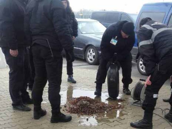 На Устилузі митники виявили 22 кілограми контрабандного бурштину (ВІДЕО) На Устилузі митники виявили 22 кілограми контрабандного бурштину (ВІДЕО)