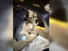 Майже 10 кілограмів марихуани намагався перевезти через Ягодин іноземець (ВІДЕО) Майже 10 кілограмів марихуани намагався перевезти через Ягодин іноземець (ВІДЕО)