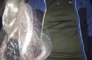 У Нововолинську рибпатруль спіймав «на гарячому» чоловіка, який ловив раків сіткою У Нововолинську рибпатруль спіймав «на гарячому» чоловіка