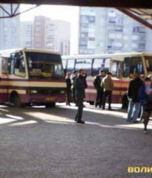 Водій автобуса «Нововолинськ-Луцьк»