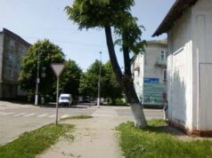 Завдяки зверненню активіста «Народного контролю» обрізали липу на Святого Володимира Завдяки зверненню активіста «Народного контролю» обрізали липу на Святого Володимира