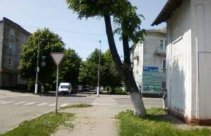 Завдяки зверненню активіста «Народного контролю» обрізали липу на Святого Володимира Завдяки зверненню активіста «Народного контролю» обрізали липу на Святого Володимира