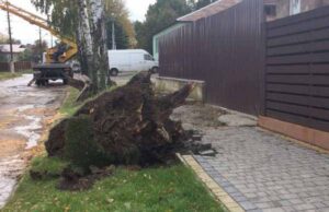 Вночі у Нововолинську буревій повалив дерева та пошкодив лінії електромереж Вночі у Нововолинську буревій повалив дерева та пошкодив лінії електромереж