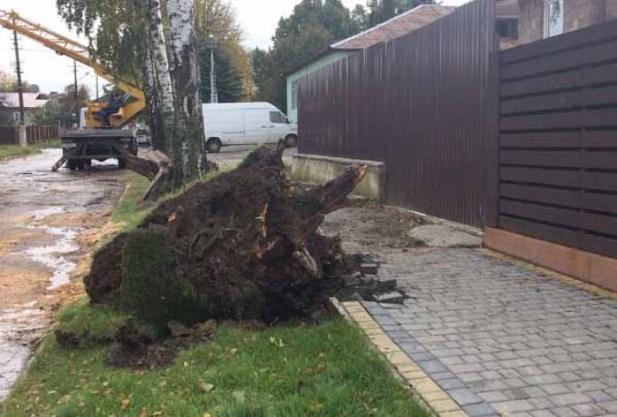 Вночі у Нововолинську буревій повалив дерева та пошкодив лінії електромереж Вночі у Нововолинську буревій повалив дерева та пошкодив лінії електромереж