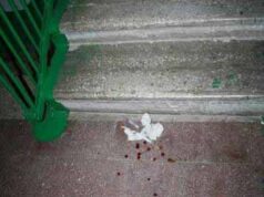 Брудні 90-ті повернулися? Брудні 90-ті повернулися?