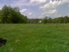 На Волині для бійців АТО виділили 108 земельних ділянок На Волині для бійців АТО виділили 108 земельних ділянок