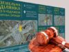 5 земельних ділянок комунальної власності продаватимуть через аукціон у Нововолинську 5 земельних ділянок комунальної власності продаватимуть через аукціон у Нововолинську