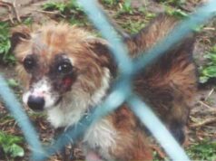 Камышникова, пора говорить правду! Камышникова