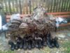 Допомога від кандидатів в депутати для учасників АТО Допомога від кандидатів в депутати для учасників АТО