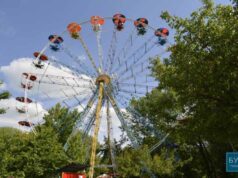 У парку Нововолинська можна знімати фільми жахів, – Олена Шаповал У парку Нововолинська можна знімати фільми жахів