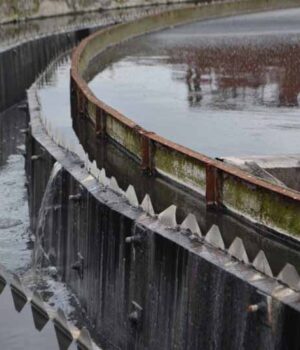 dsc_1739 Через дощі та спеку в Нововолинську засмерділися очисні споруди