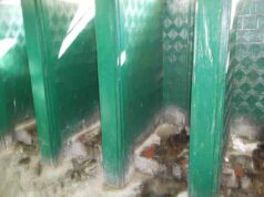 «Термінатор» під міськрадою. Покращення вашого життя вже сьогодні! «Термінатор» під міськрадою. Покращення вашого життя вже сьогодні!