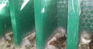 «Термінатор» під міськрадою. Покращення вашого життя вже сьогодні! «Термінатор» під міськрадою. Покращення вашого життя вже сьогодні!