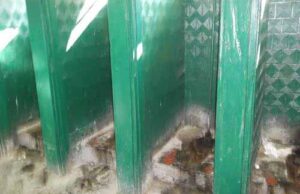 «Термінатор» під міськрадою. Покращення вашого життя вже сьогодні! «Термінатор» під міськрадою. Покращення вашого життя вже сьогодні!