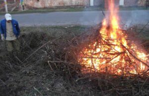 Жовтневе: один день – дві толоки (ФОТО) Жовтневе: один день - дві толоки (ФОТО)