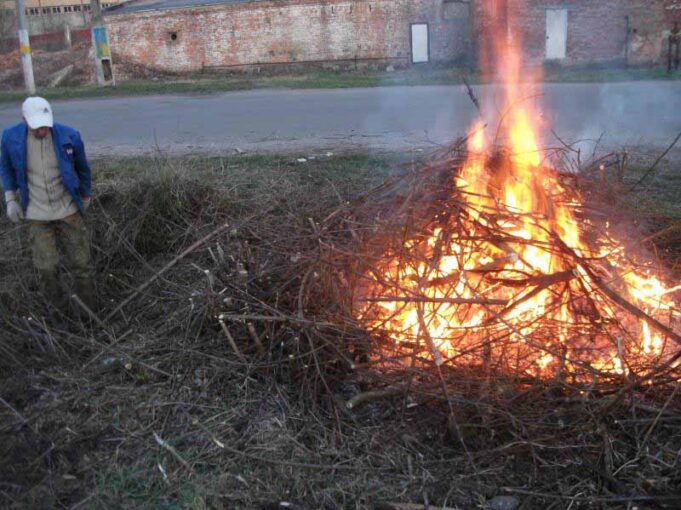 Жовтневе: один день – дві толоки (ФОТО) Жовтневе: один день - дві толоки (ФОТО)