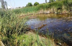 Нововолинськ туристичний або жахіття «козячого парку» Нововолинськ туристичний або жахіття «козячого парку»