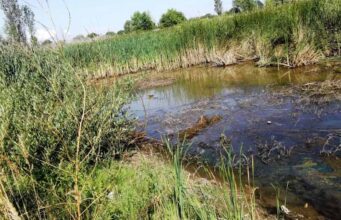 Нововолинськ туристичний або жахіття «козячого парку» Нововолинськ туристичний або жахіття «козячого парку»