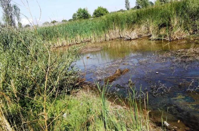 Нововолинськ туристичний або жахіття «козячого парку» Нововолинськ туристичний або жахіття «козячого парку»