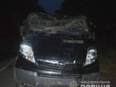 У Турійському районі в ДТП загинув і пострадали нововолинці У Турійському районі в ДТП загинув і пострадали нововолинці