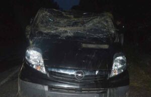 У Турійському районі в ДТП загинув і пострадали нововолинці У Турійському районі в ДТП загинув і пострадали нововолинці