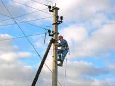 У Нововолинську тривають ремонтні роботи на лініях електропередач У Нововолинську тривають ремонтні роботи на лініях електропередач