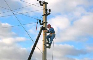 У Нововолинську тривають ремонтні роботи на лініях електропередач У Нововолинську тривають ремонтні роботи на лініях електропередач