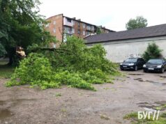 На Шахтарському мікрорайоні величезна гілка впала на тротуар