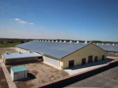 Інвестиції у промисловість Волині Інвестиції у промисловість Волині