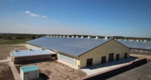 Інвестиції у промисловість Волині Інвестиції у промисловість Волині