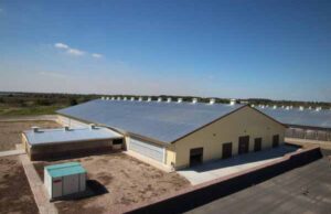 Інвестиції у промисловість Волині Інвестиції у промисловість Волині