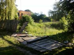 Власником занедбаної ділянки у Нововолинську виявився депутат-радикал Власником занедбаної ділянки у Нововолинську виявився депутат-радикал