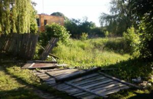 Власником занедбаної ділянки у Нововолинську виявився депутат-радикал Власником занедбаної ділянки у Нововолинську виявився депутат-радикал