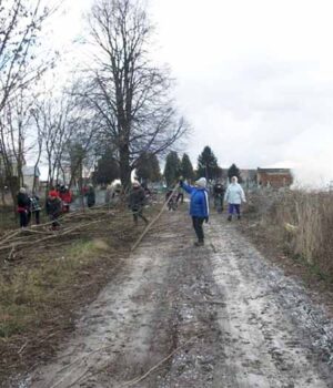 Мешканці Жовтневого прибрали дорогу до кладовища та висадили 20 беріз